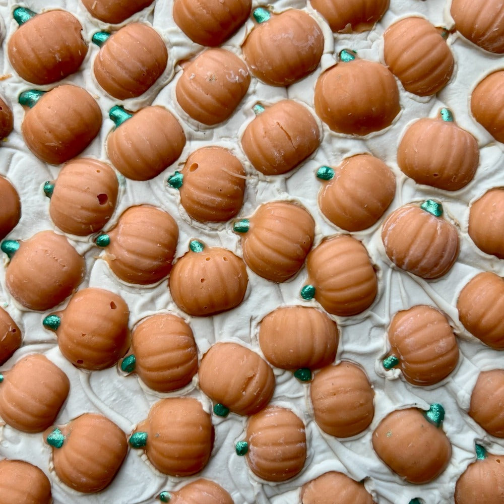 Center Street Soap Co. Pumpkin Spice Handmade Soap Bar