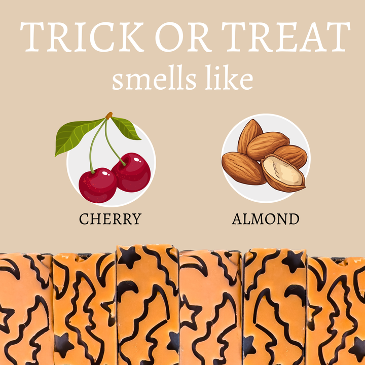 Trick or Treat Handmade Soap Bar