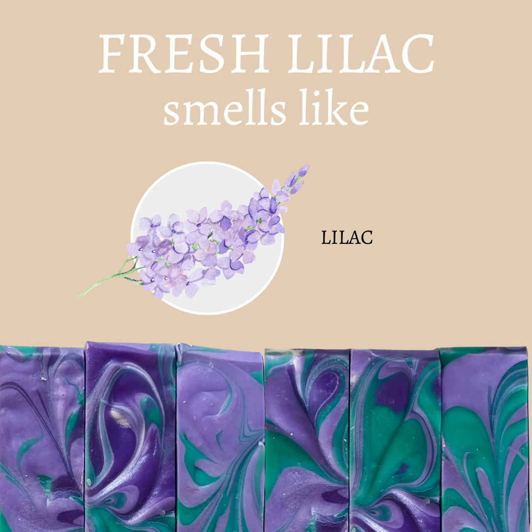 What Fresh Lilac Handmade Soap Bar Smells Like by Center Street Soap Co.